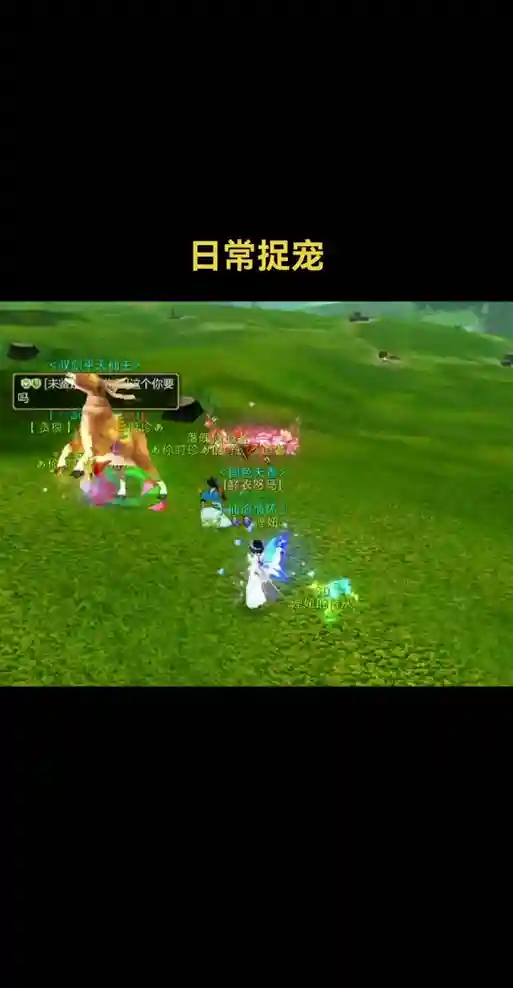 寻仙手游用什么抓宠物技能