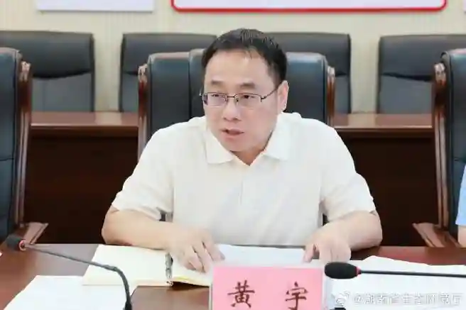 黄宇阵容插图