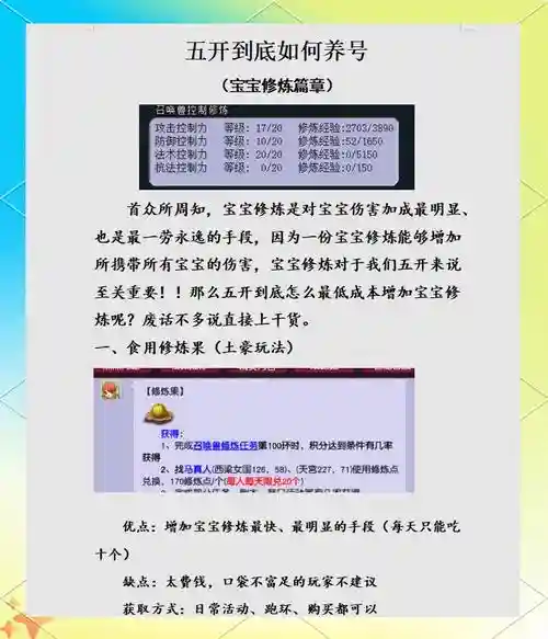 梦幻五开升级点修攻略插图