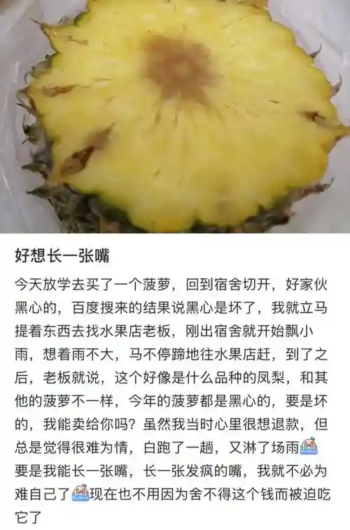 菠萝新阵容插图