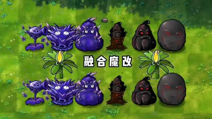 蝙蝠菇阵容插图