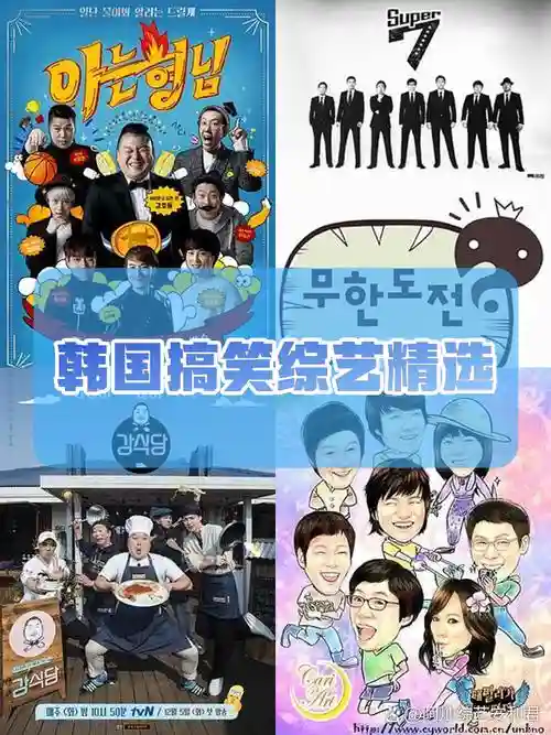 韩国奇葩阵容_1插图