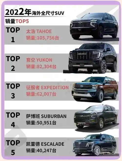 最强suv阵容插图