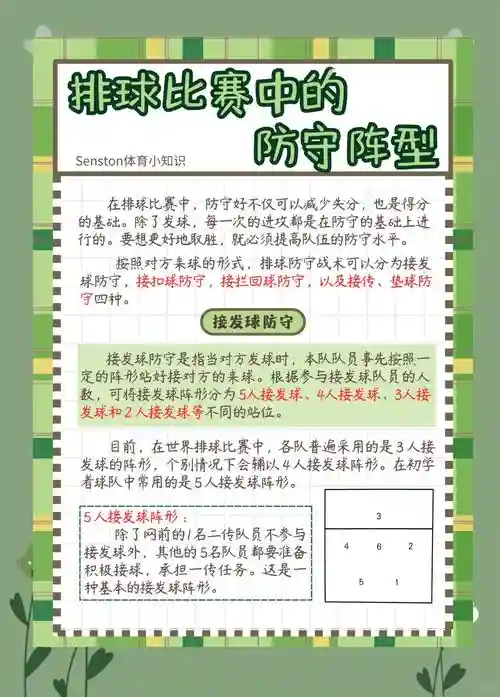 攻守平衡的最佳阵容搭配，攻守平衡才是王道插图