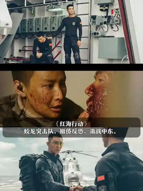 枪战导演最强阵容搭配，枪战演员插图