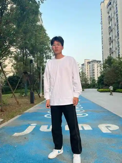 阳光男孩阵容搭配，阳光男孩装扮插图