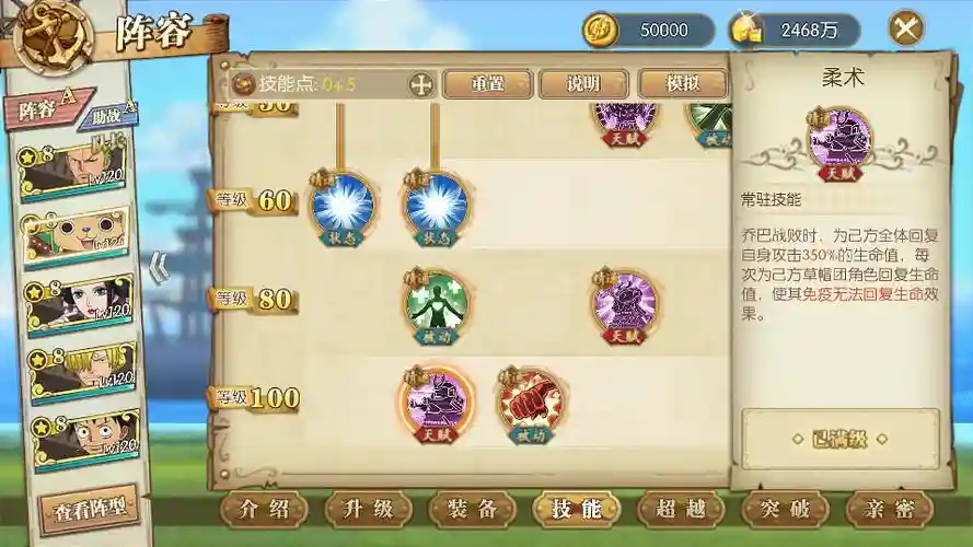 燃烧的意志船长阵容搭配，航海王燃烧意志船怎么加点