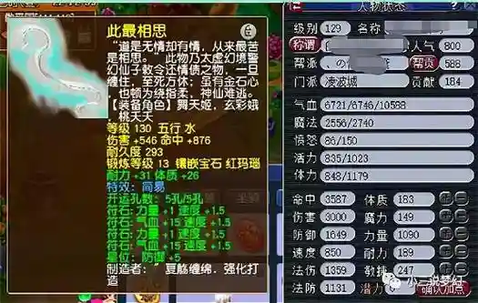 梦幻西游129lg伤害展示，梦幻西游129lg属性插图