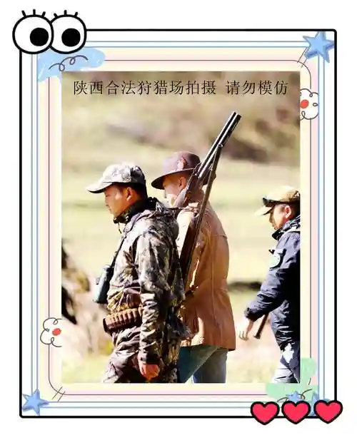 领地人生攻略狩猎，领地人生怎么抓动物