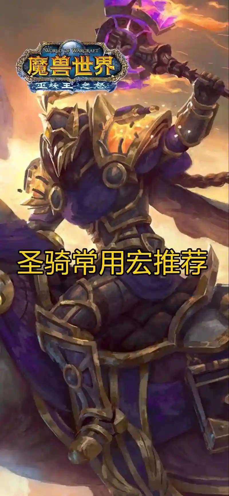 骑士技能好了就用宏，骑士有啥宏好用的插图
