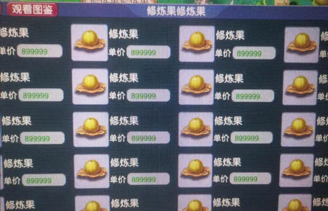 梦幻西游宝宝修炼果17，梦幻西游宝宝修炼果哪里有卖插图