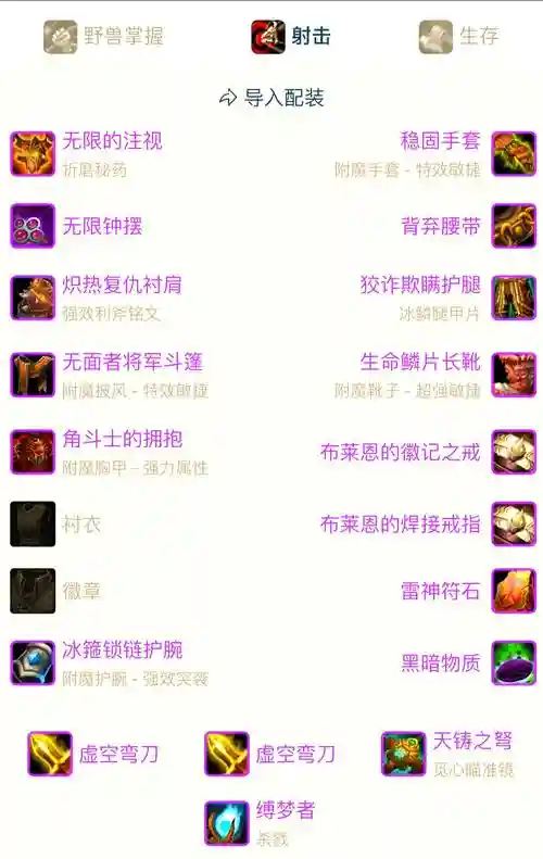 怀旧服猎人阵容搭配推荐，怀旧服猎人玩法攻略插图