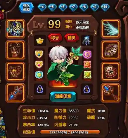 勇士的信仰技能石在哪里用，勇士的信仰装备怎么进化插图