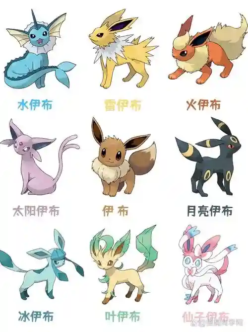 神兽阵容搭配，神兽阵容推荐插图1