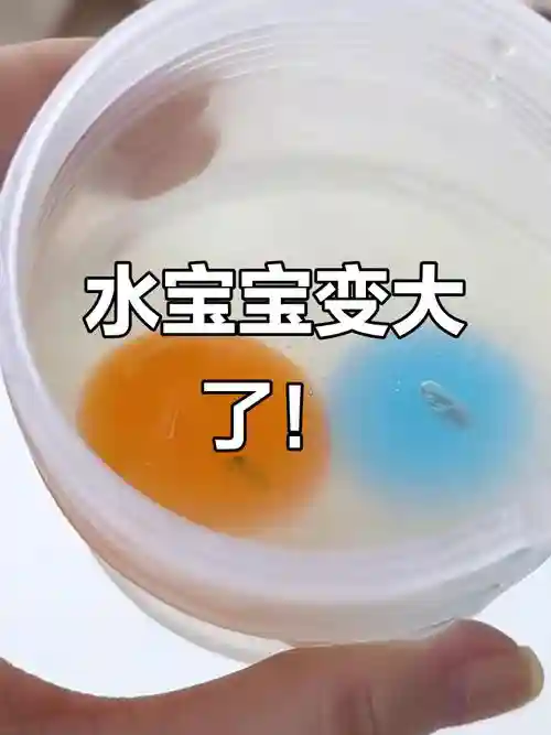 法师水宝宝水流喷射技能没了，怀旧服法师水宝宝插图1