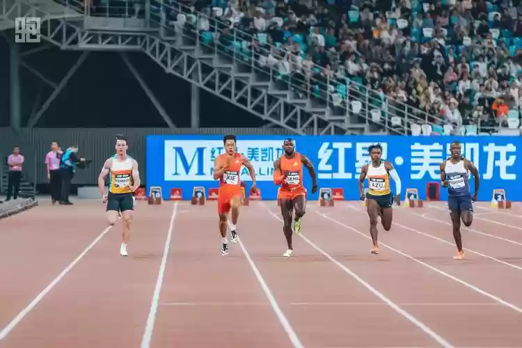 钻石冠军阵容搭配,钻石联赛冠军有奖牌吗插图 钻石冠军阵容搭配,钻石联赛冠军有奖牌吗插图